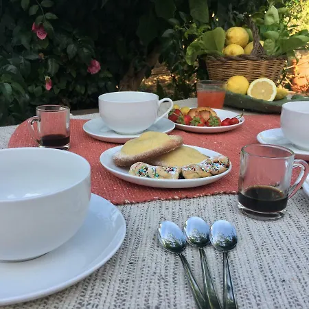Il Giardino Dei Limoni Apartment *